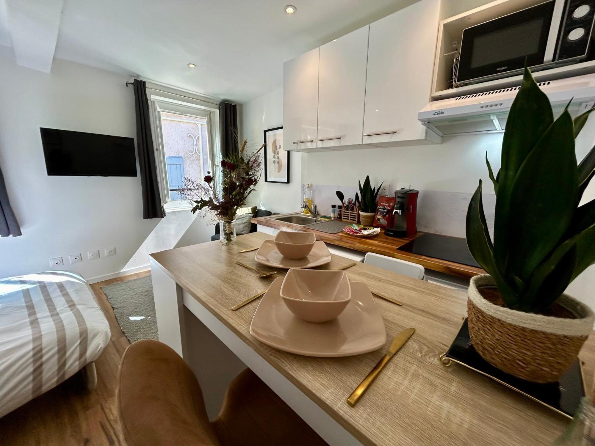 Apartment Le Flamand Hyper Centre Castres *